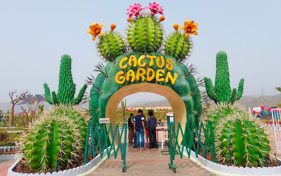 Cactus-Garden-img