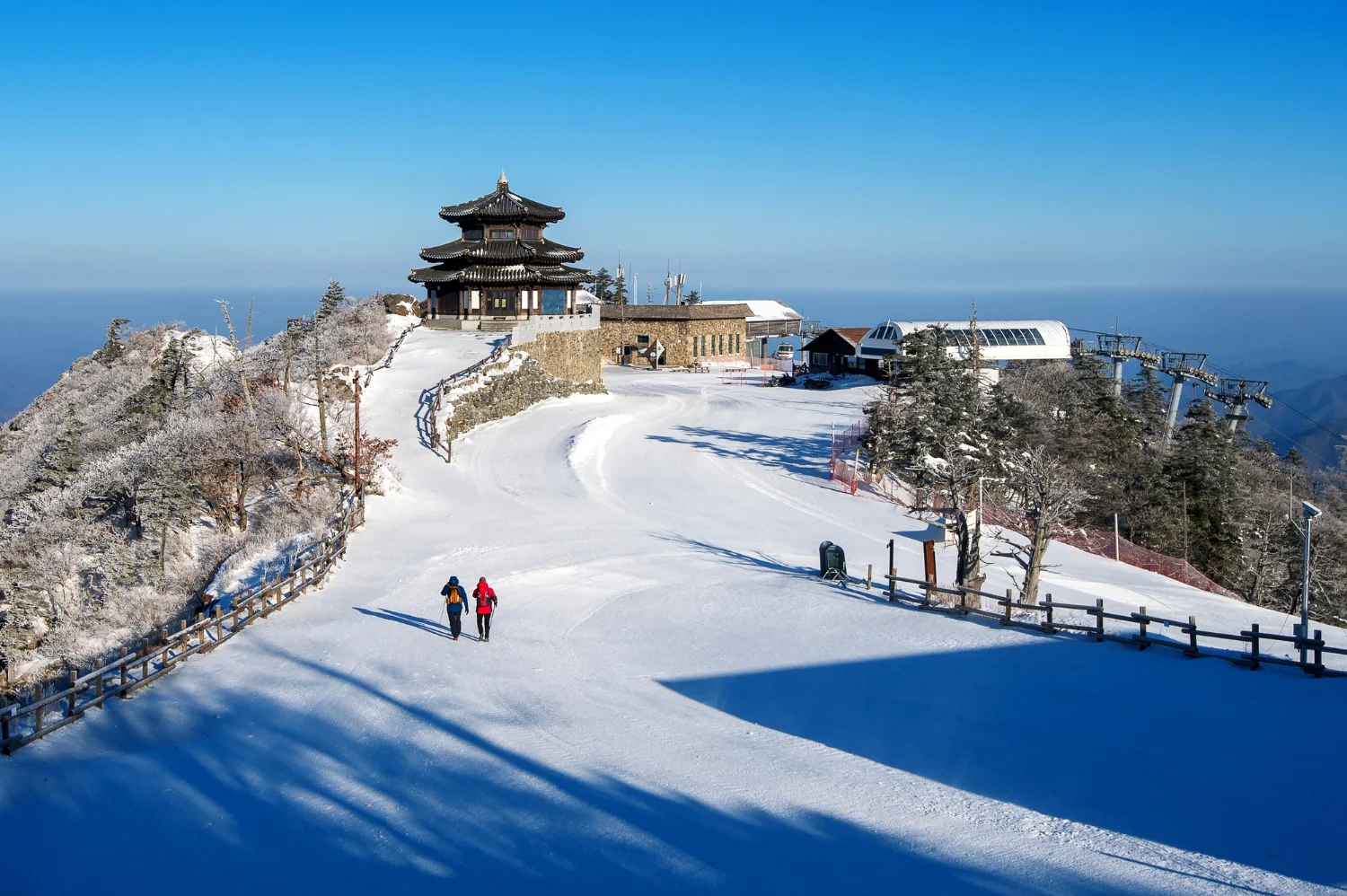 Shimla-img