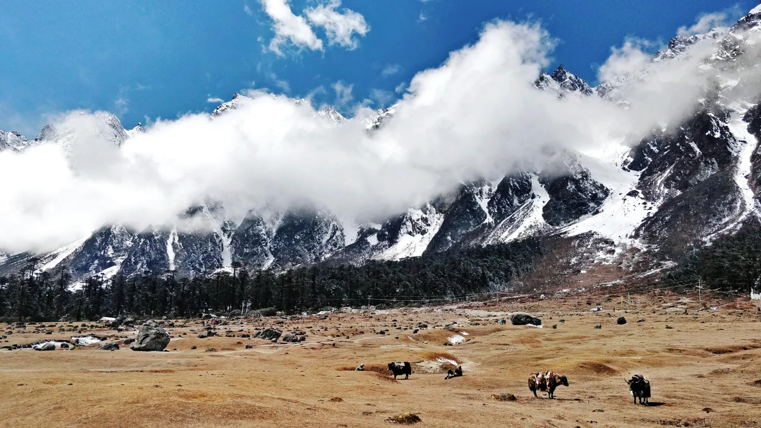 sikkim-Nathula-Pass-img