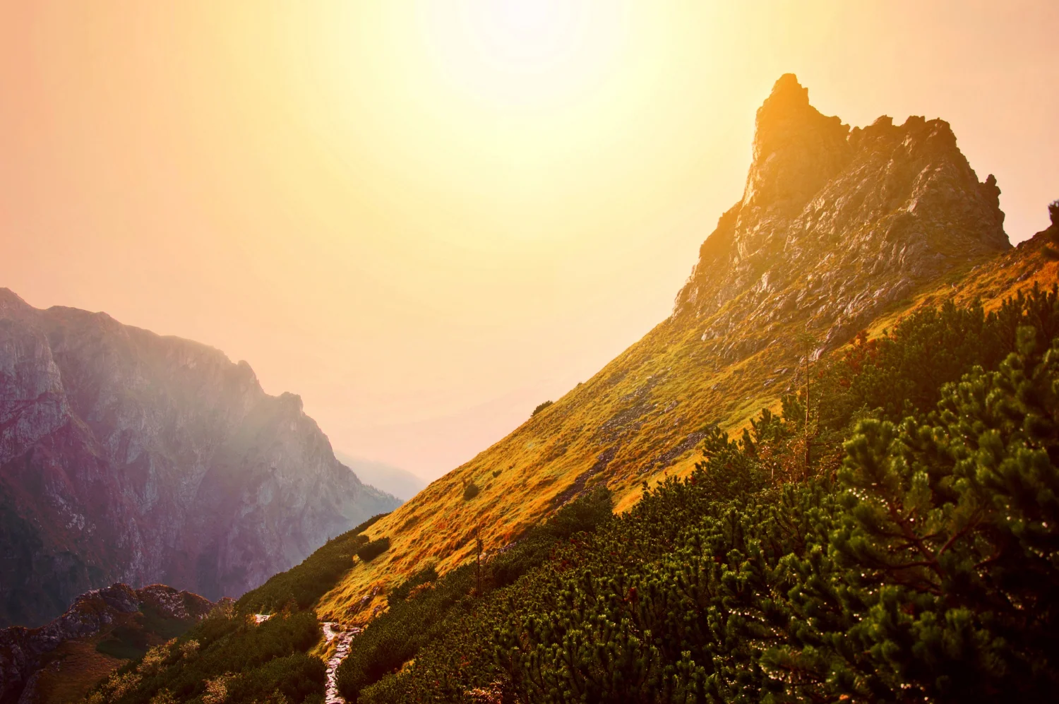 sunset-point-img