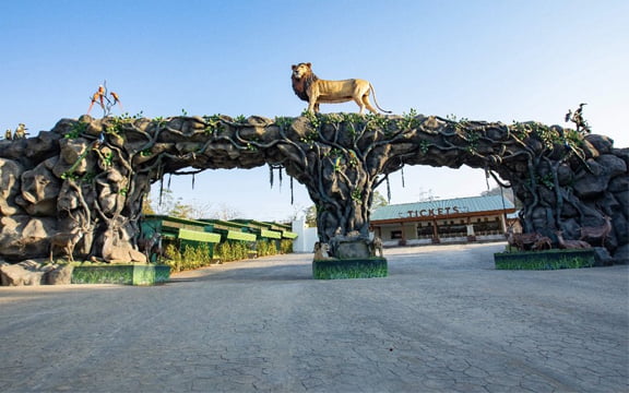 jungle-safari-1 (1)